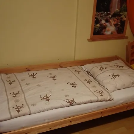 Bauer Alter Hammer Apartment Schmiedefeld am Rennsteig