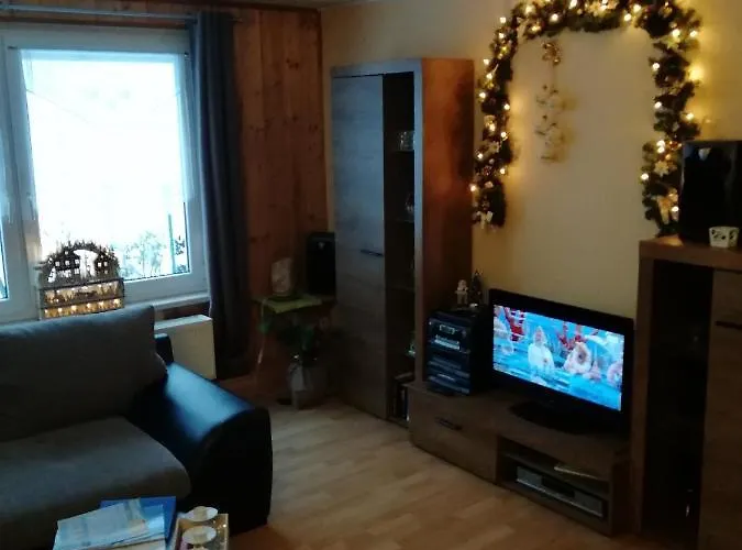 Apartment Bauer Alter Hammer Schmiedefeld am Rennsteig